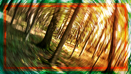 The Most Powerful Hallucinogen Salvia