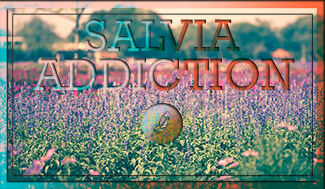 Salvia Addiction and Withdrawal