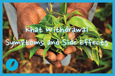 a man's hands holding khat leaves
