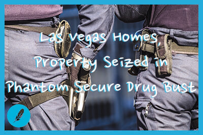 Federal police officers